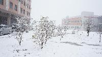 滁州喜多多公司2014年雪景
